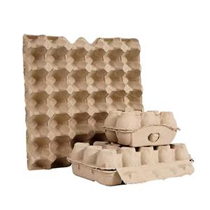 Carboard Egg Box Carboard Egg Box